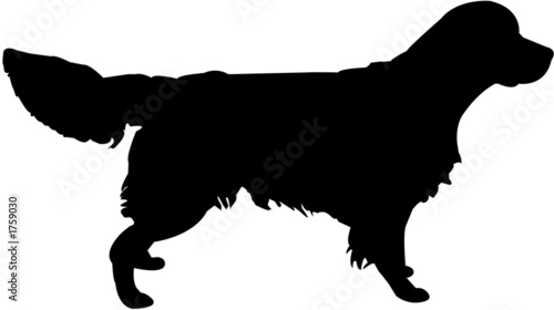 dog silhouette