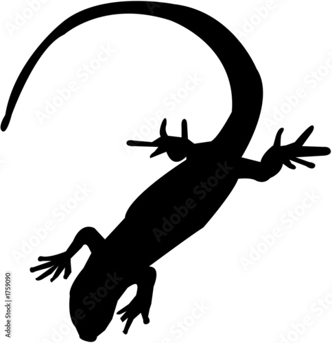 lizard silhouette