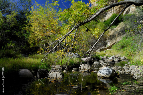 queen creek in fall