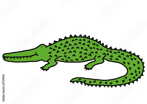 Funny crocodile on white background 