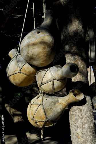 gourds hanging