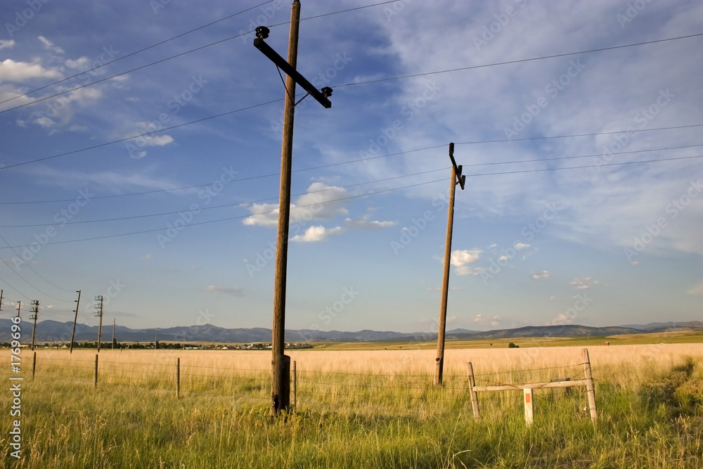 Obraz premium field in helena
