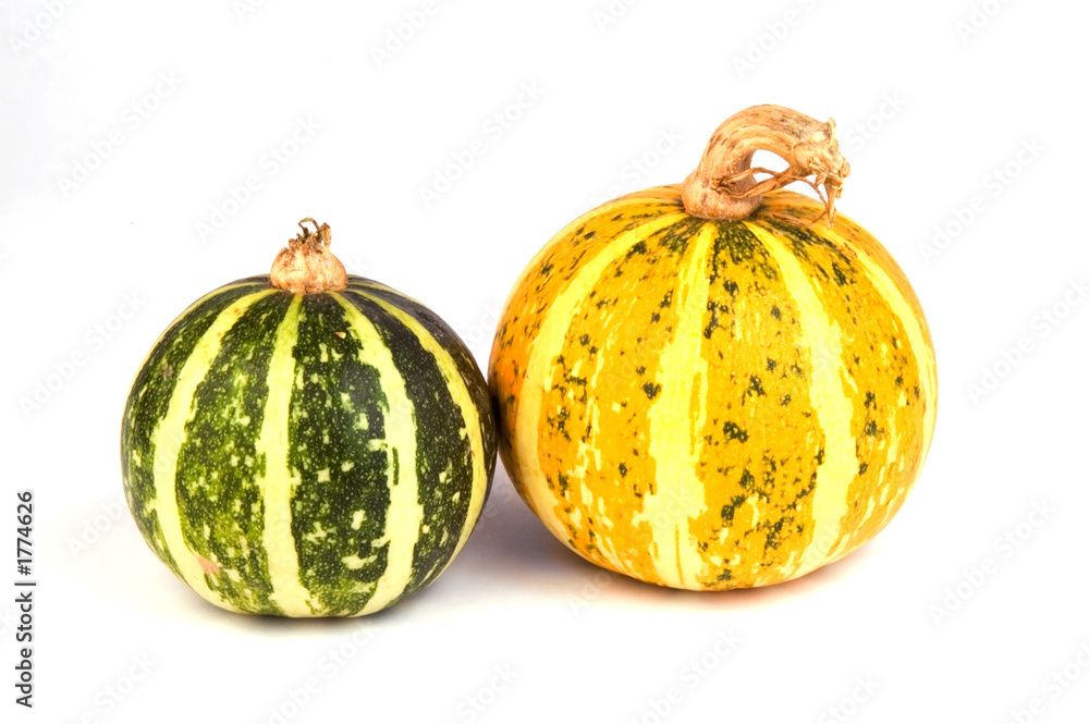 autumn vegetables - gourds