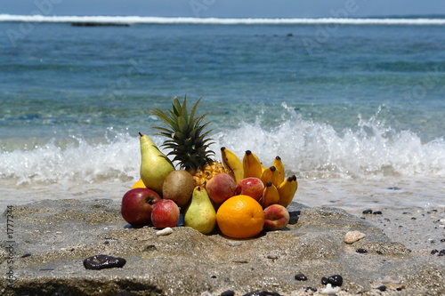 fruits de mer photo