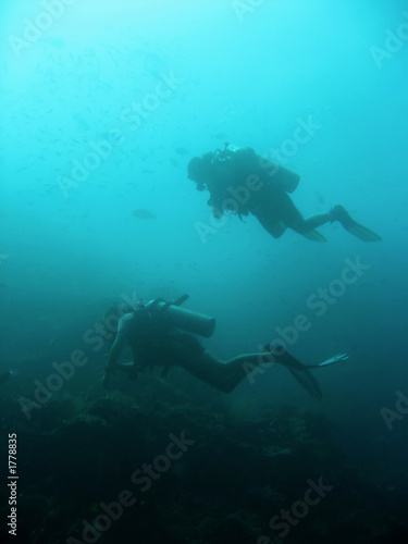 Wallpaper Mural sipadan divers Torontodigital.ca