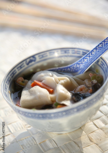 soupe raviolis chinois