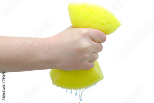 hand squeezing drip out of sponge
