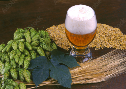 die stille mit hopfen und bier