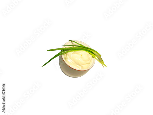 mayonnaise in sauce-boat with green onion leaves
