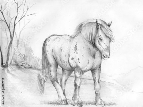 horses, animals, illustrations, © Oleg Guryanov