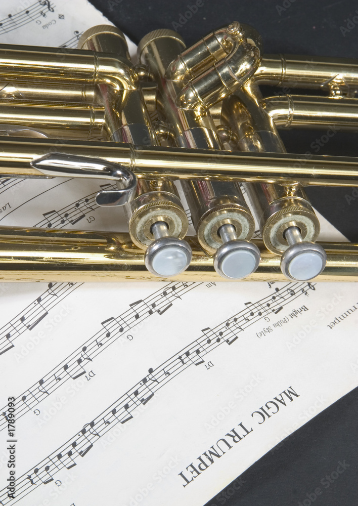 Obraz premium trumpet valves on sheet music