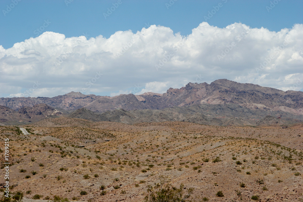 desert landscape