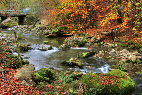autumn