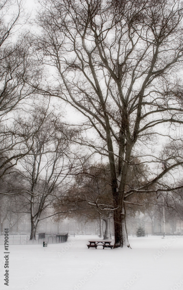 Fototapeta premium winter landscape