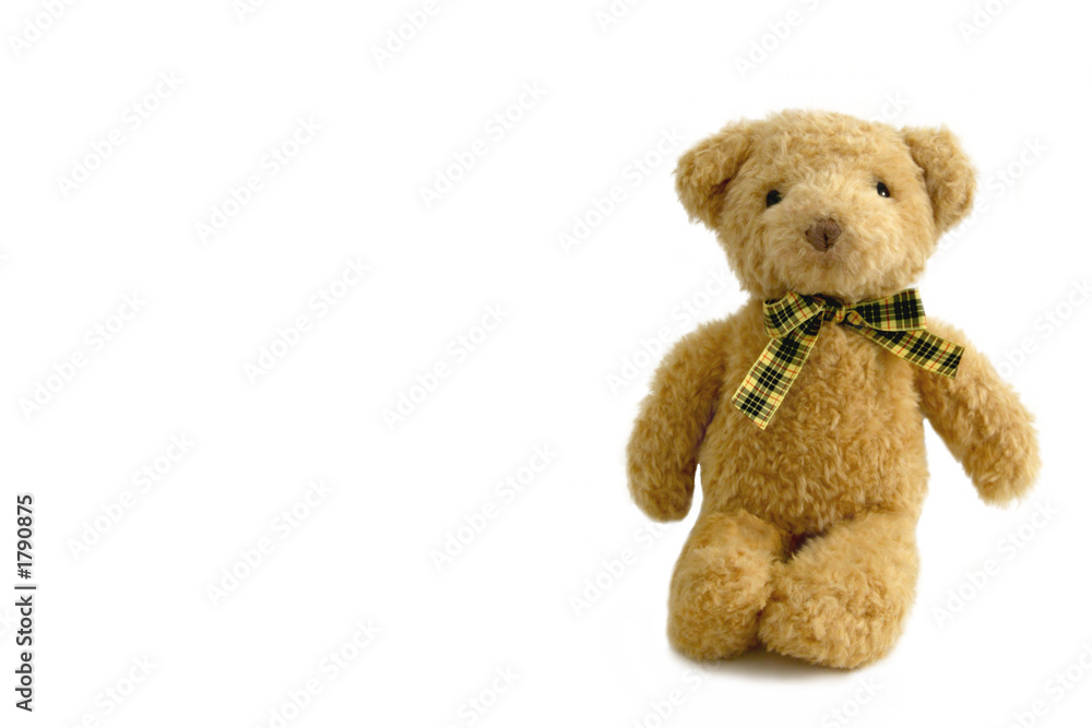 Obraz premium teddy bear