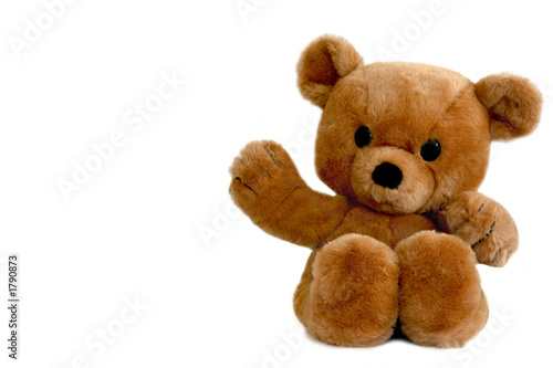 Obraz na plátně brown teddy bear