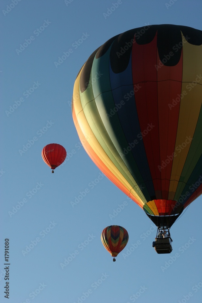 Fototapeta premium balloon festival