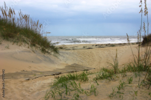 Fototapeta Naklejka Na Ścianę i Meble -  sand dunes and sea grass