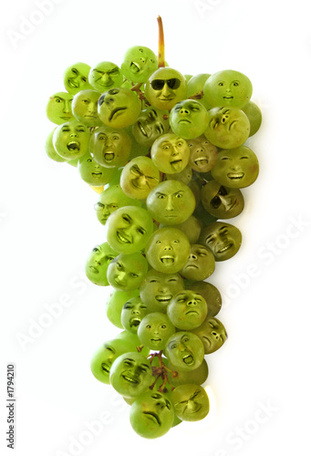 grapes family