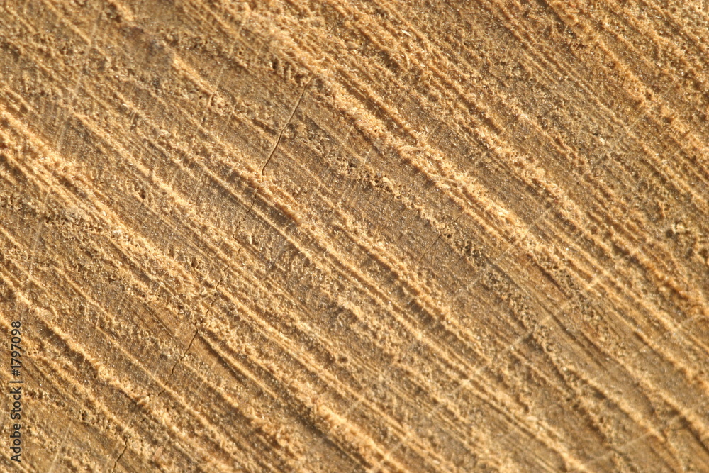 wood background wood background