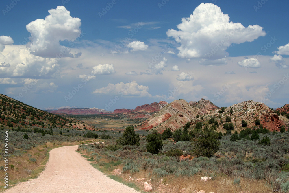 remote desert dirt road