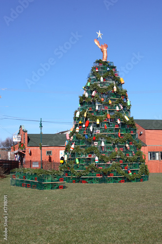 rockland christmas tree