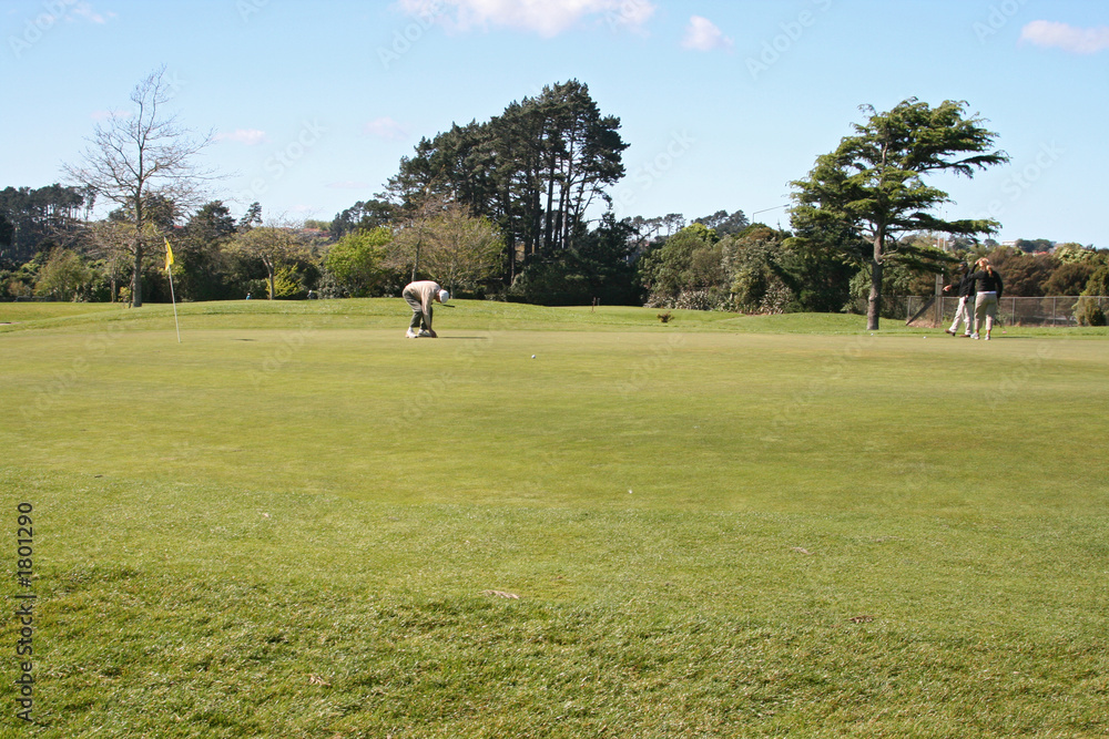 Obraz premium golf players on green