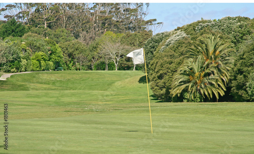 Cuadro en lienzo golf hole