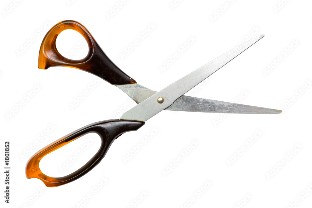 tailor's shears tailor's shears
