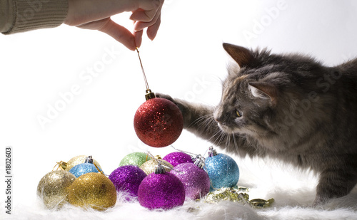 kitten playing with christmas ornaments