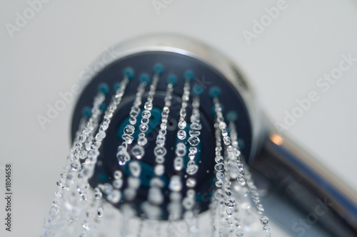 shower head
