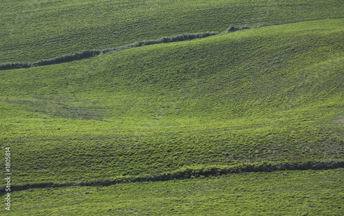 background of green hills