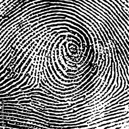 fingerprint14crop4