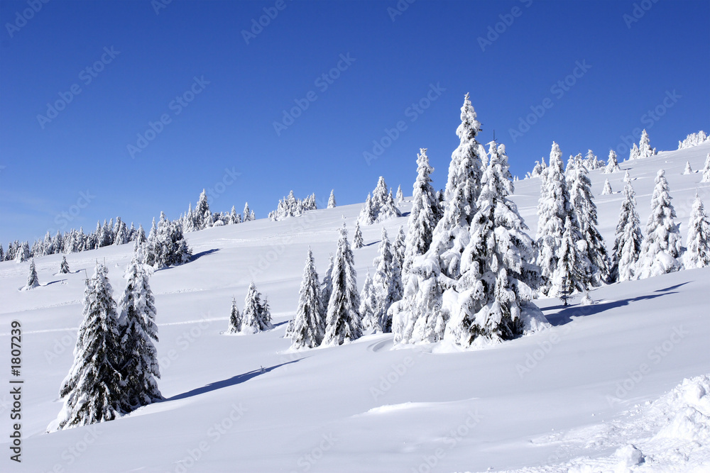 snow covered mountain and trees