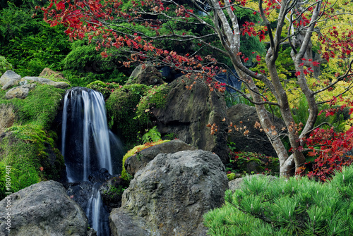 Fototapeta japoński ogródek herbaciany