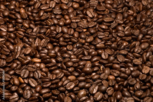coffee beans