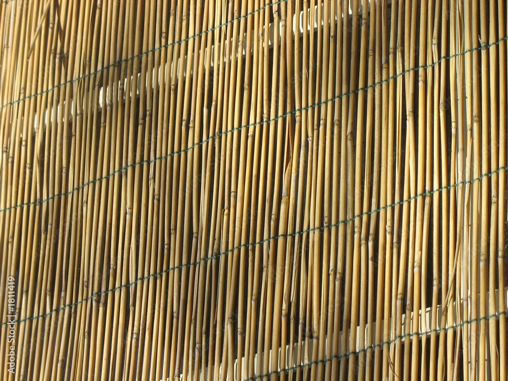 bamboo bamboo