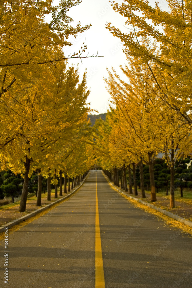 Naklejka premium fall