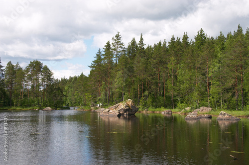 forest stony lake and cloudy sky