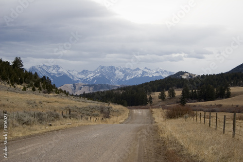 montana country road photo