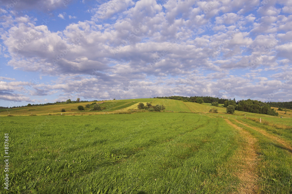 field and mountains (lemkowszczyzna - poland)