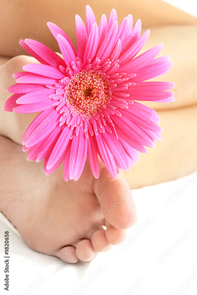 pies y flor