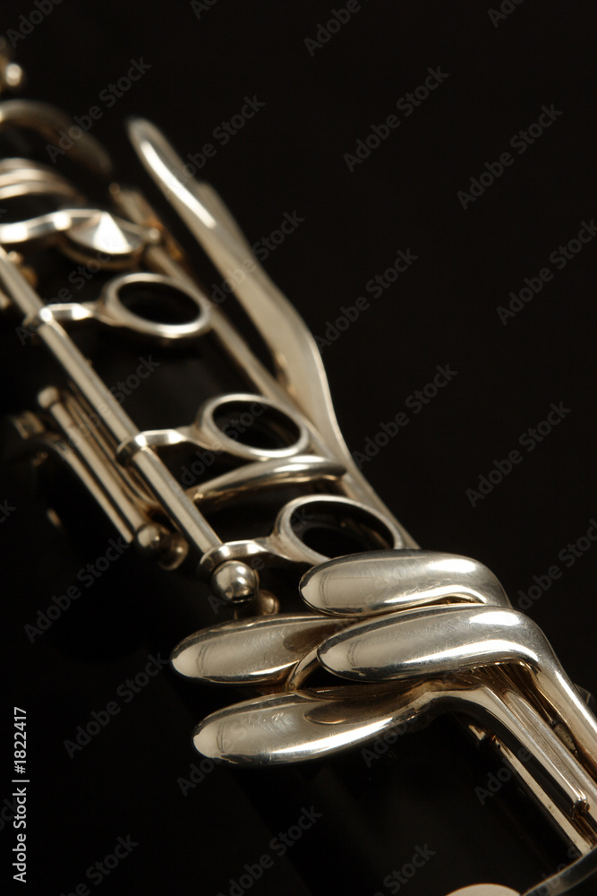 Obraz premium clarinet