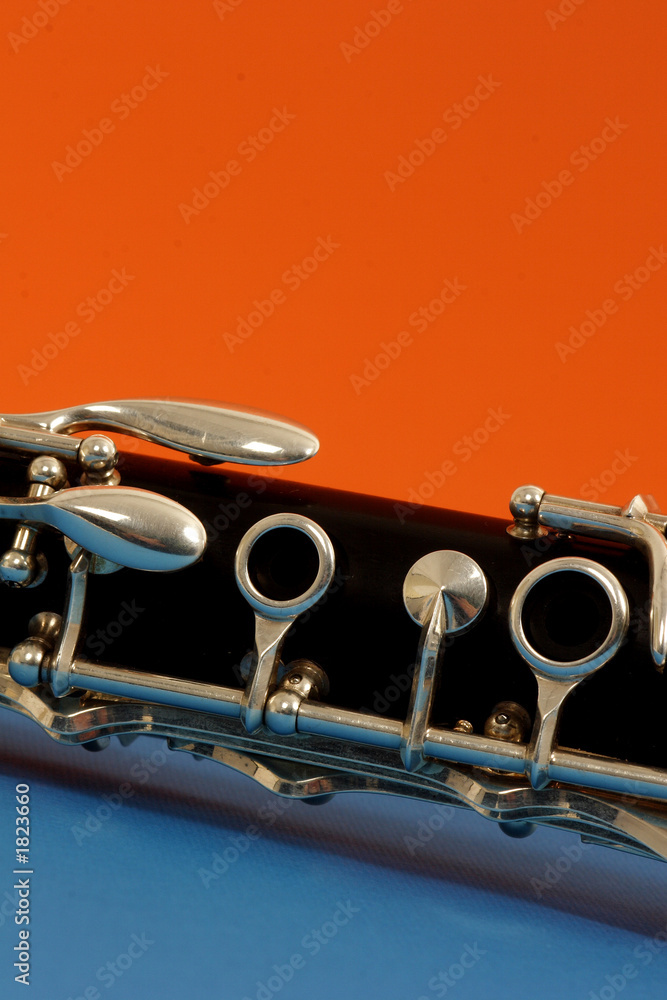 Obraz premium clarinet