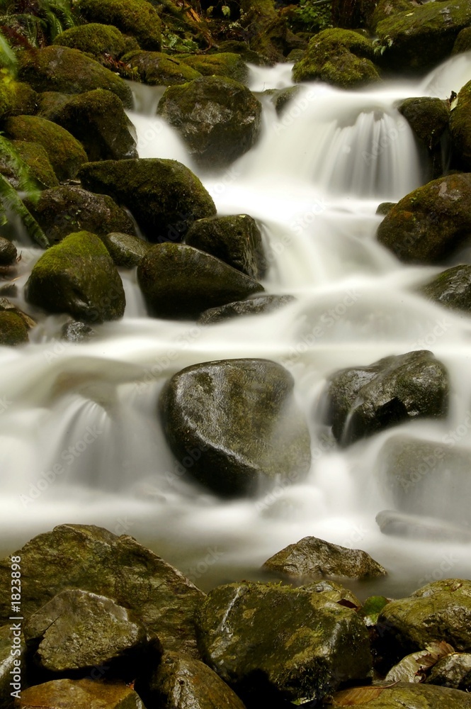 Fototapeta premium stream at wallace falls