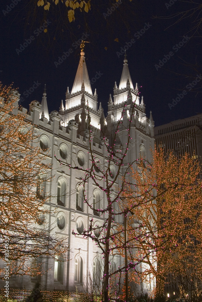 salt lake temple south side and trees at night salt lake temple south side and trees at night