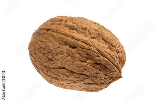 walnut isolated on the white