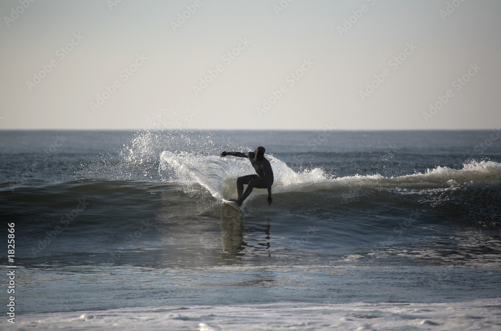 surfer in the wave