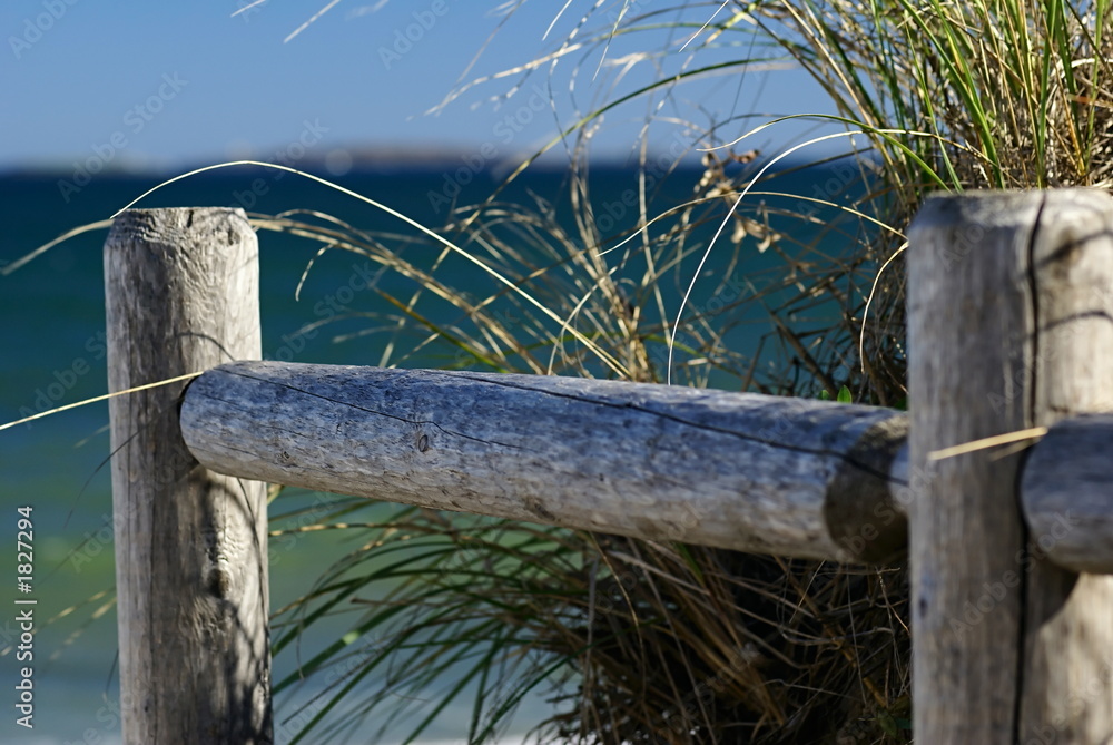 Fototapeta premium the fence