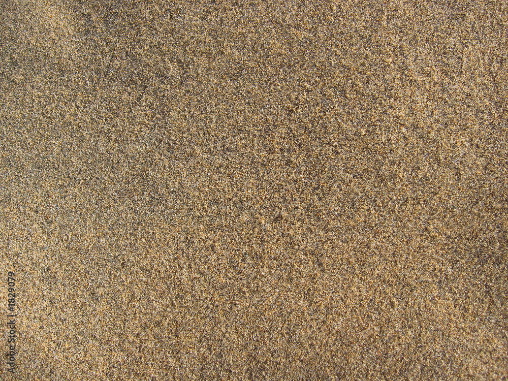 desert sand